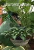 Hosta 'Catherine' - New Forest Hostas & Hemerocallis